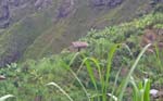 CapVerde_2003_0191