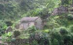 CapVerde_2003_0192
