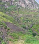 CapVerde_2003_0198