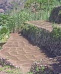 CapVerde_2003_0206