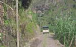 CapVerde_2003_0207