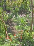 CapVerde_2003_0215