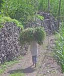 CapVerde_2003_0219