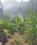 CapVerde_2003_0220