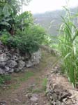 CapVerde_2003_0224