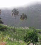 CapVerde_2003_0226