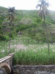 CapVerde_2003_0232