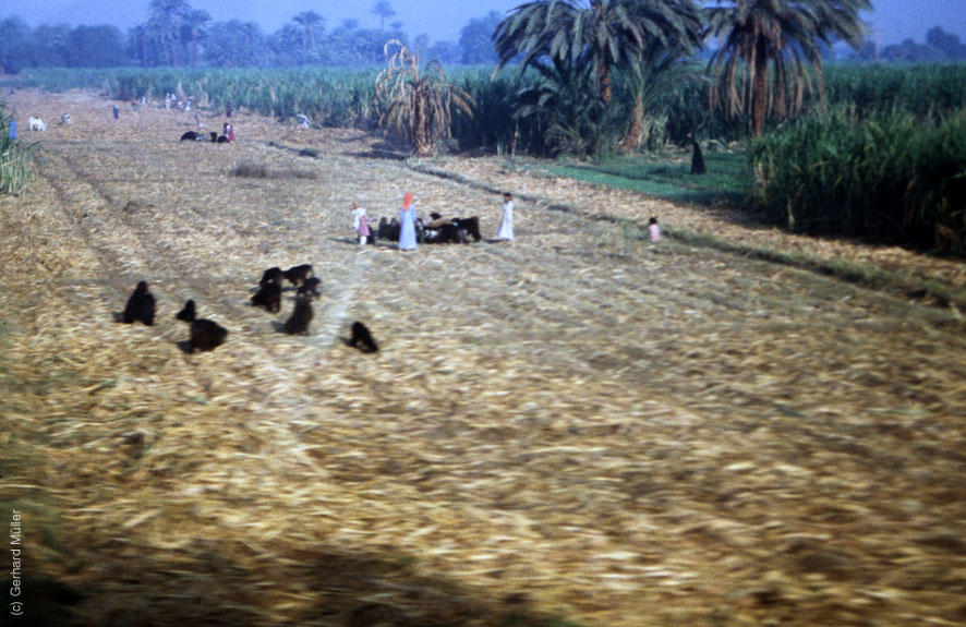Hurghada-1994_109