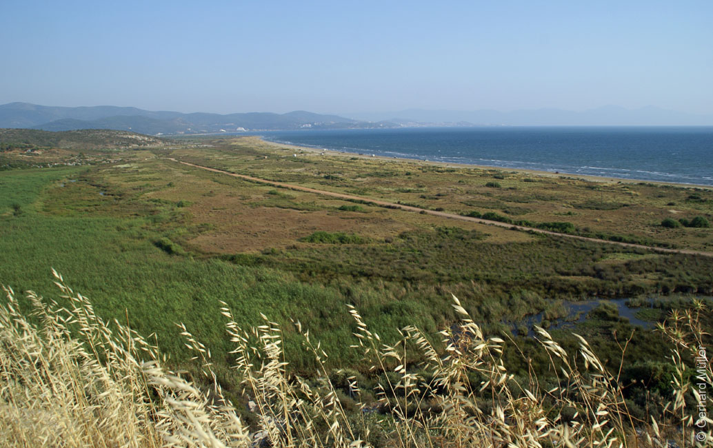 Izmir-2011_138a