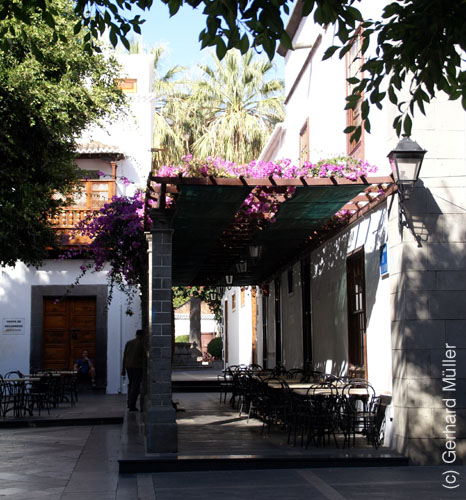 Los Llanos_19