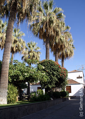 Los Llanos_22