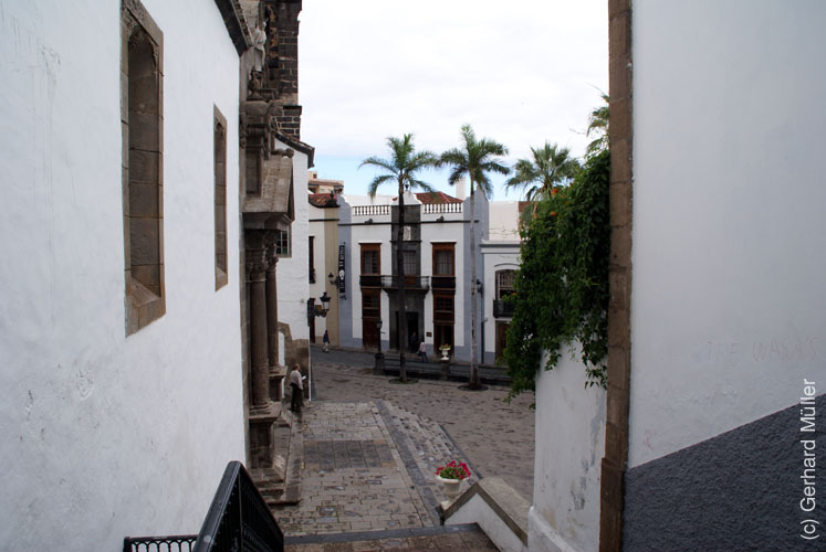 Santa Cruz_12