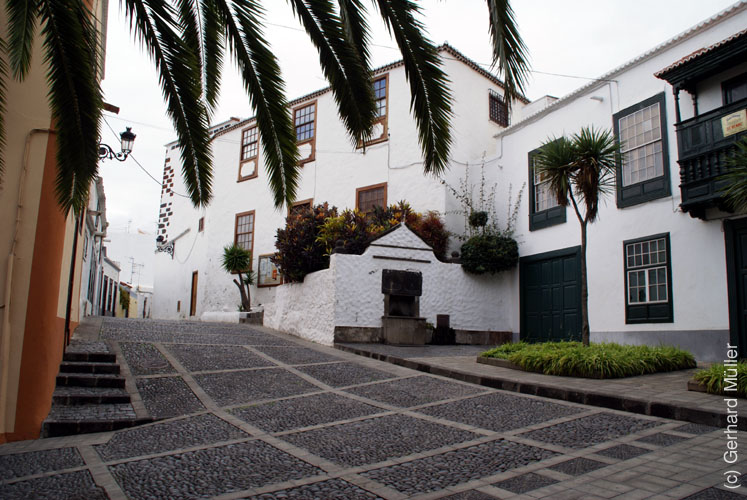 Santa Cruz_28