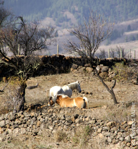 Llano del Jable_04