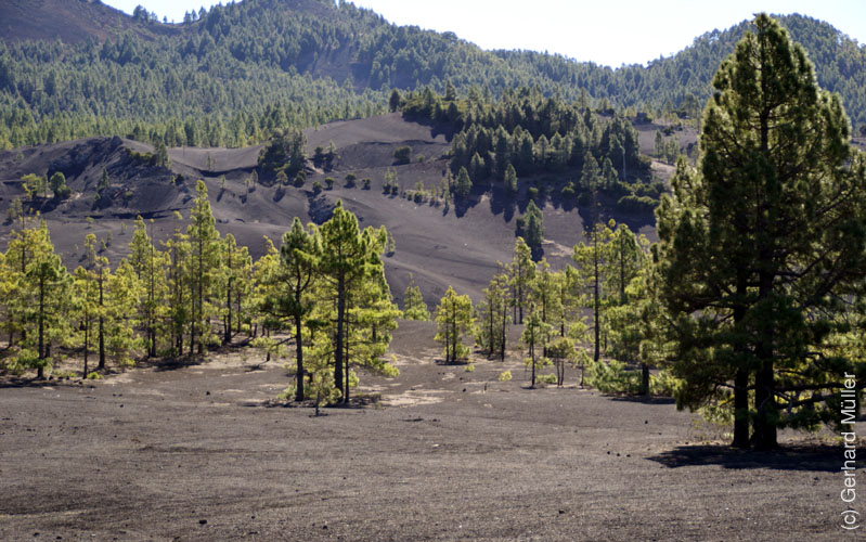 Llano del Jable_09