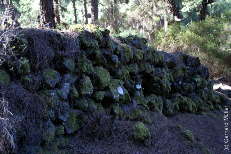 Llano del Jable_20