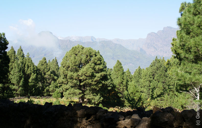 Llano del Jable_22