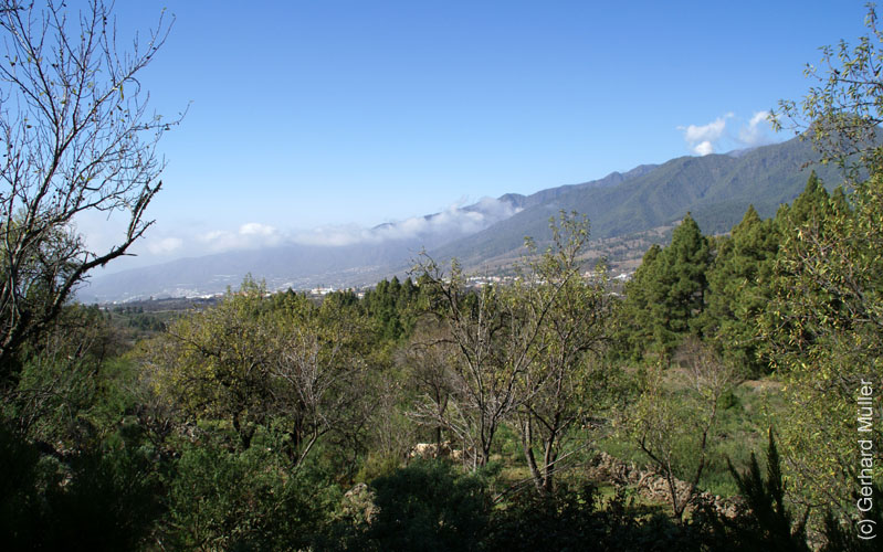 Llano del Jable_27