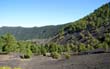Llano del Jable_10