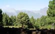 Llano del Jable_22