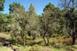 Llano del Jable_25