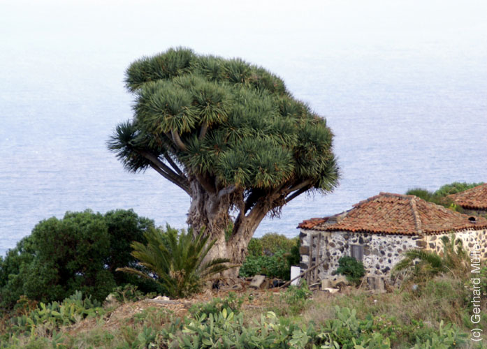 La Zarza_39