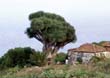 La Zarza_39