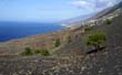 Faro de Fuencaliente_10