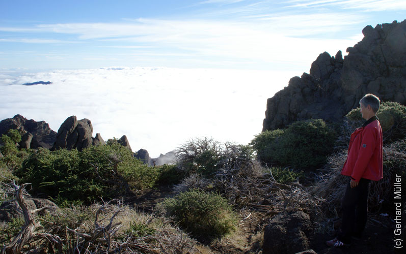 Pico de la Cruz_12