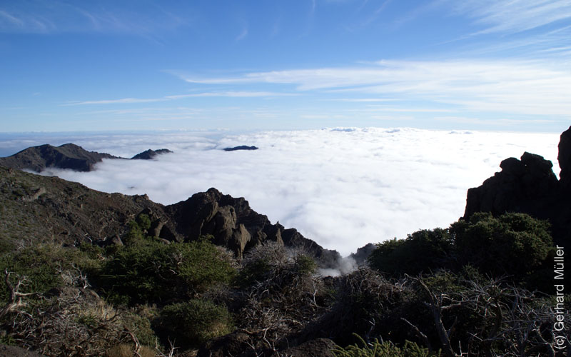 Pico de la Cruz_14