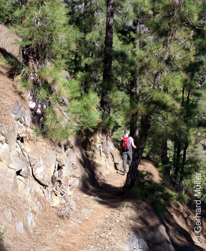 Caldera de Taburiente_03