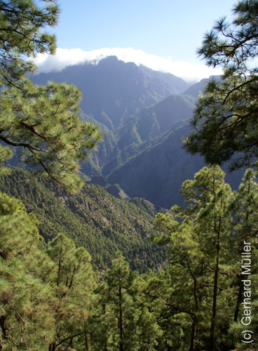 Caldera de Taburiente_04