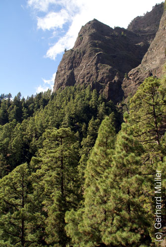 Caldera de Taburiente_06