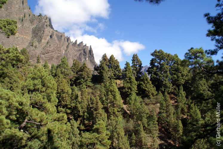 Caldera de Taburiente_07