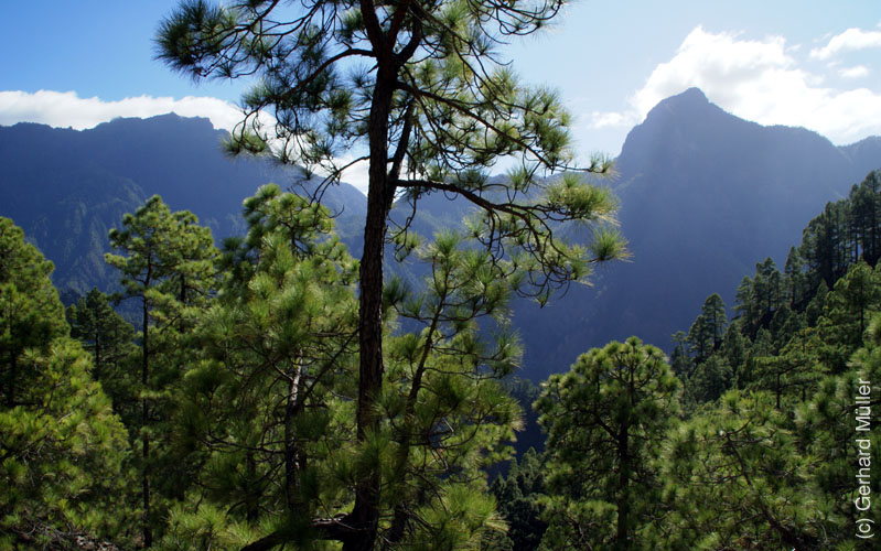 Caldera de Taburiente_11