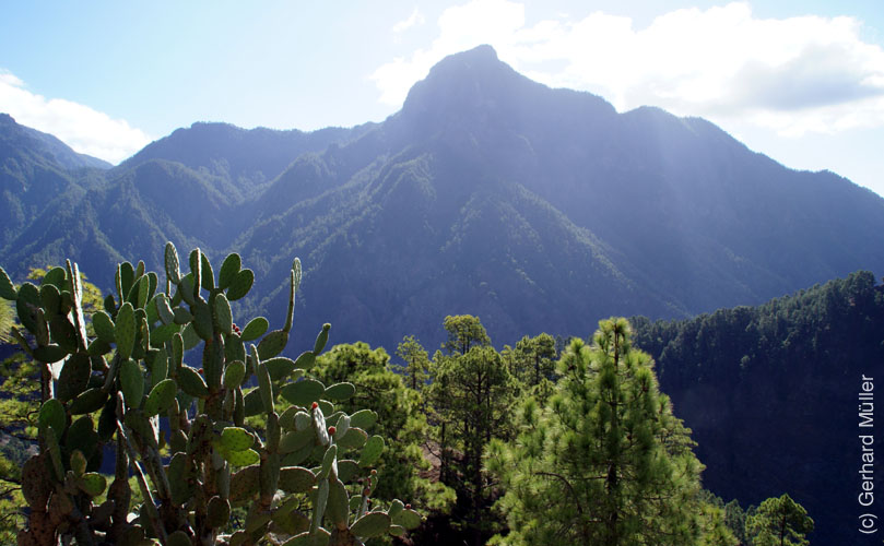 Caldera de Taburiente_14