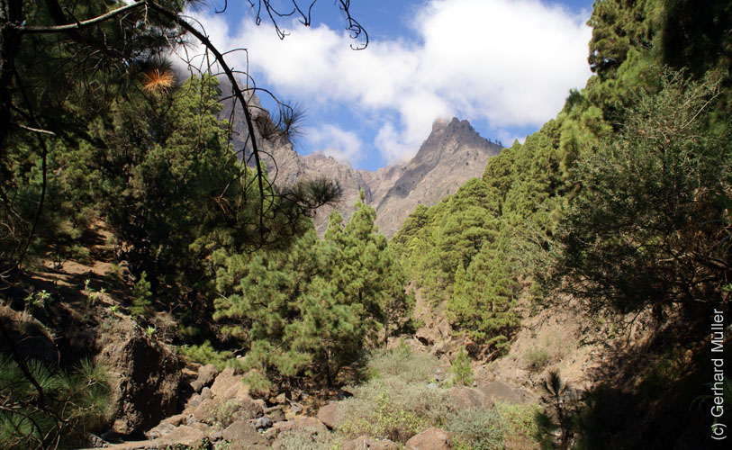 Caldera de Taburiente_21