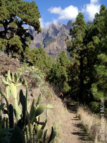 Caldera de Taburiente_25
