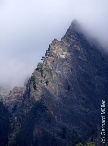 Caldera de Taburiente_29