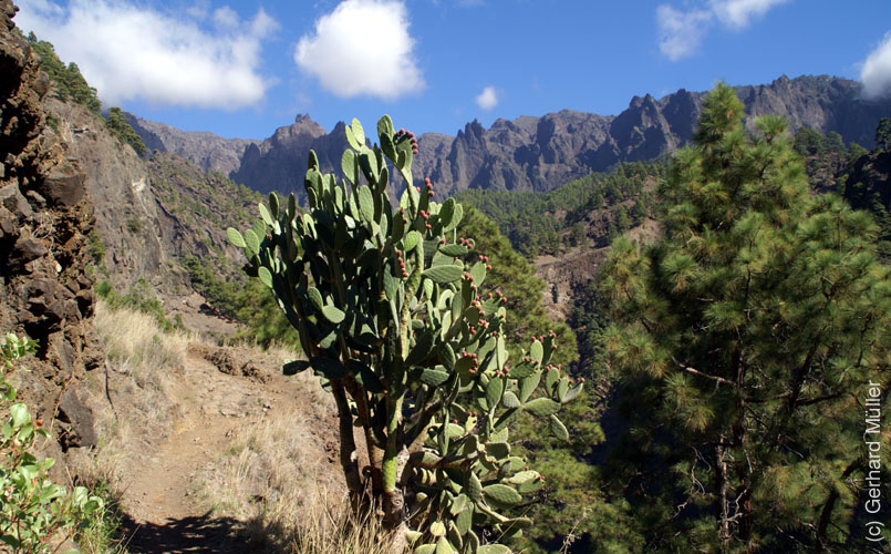 Caldera de Taburiente_33