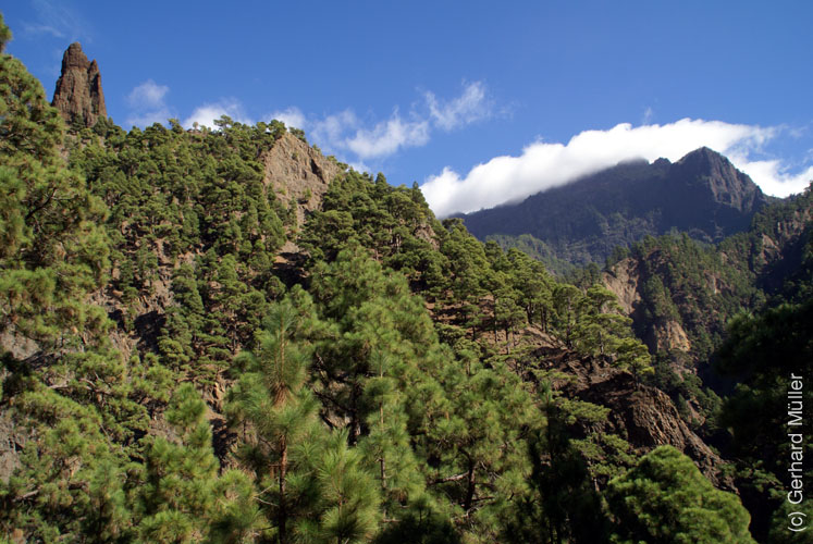 Caldera de Taburiente_37