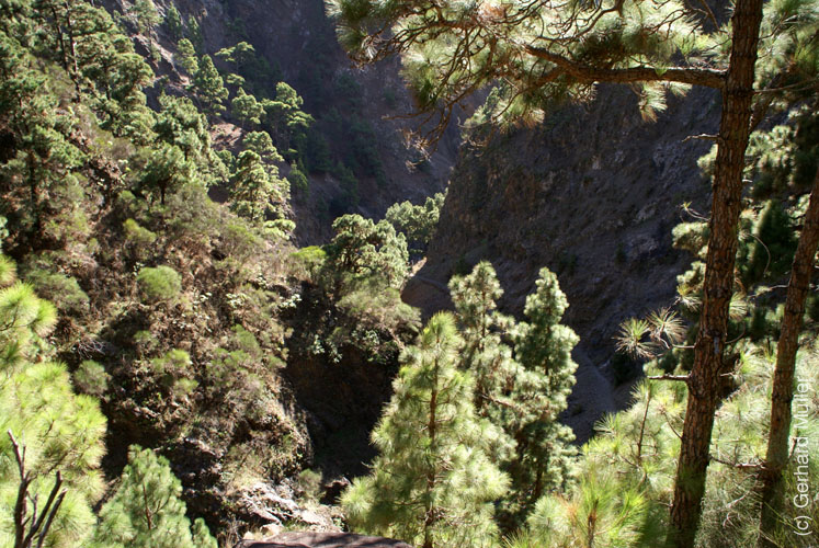 Caldera de Taburiente_38