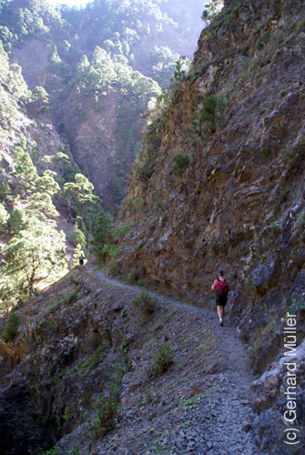 Caldera de Taburiente_39