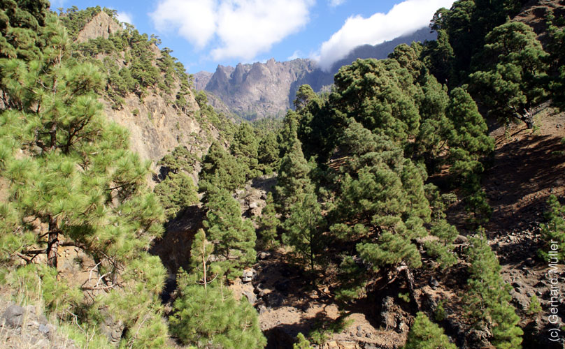 Caldera de Taburiente_42