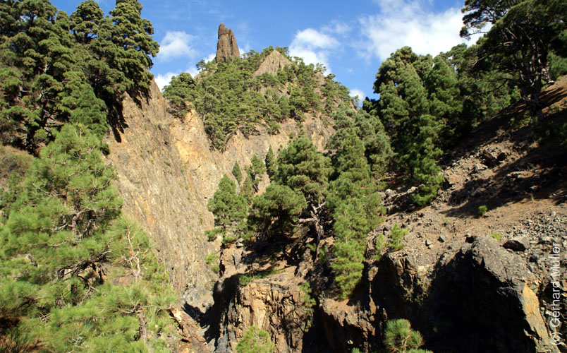 Caldera de Taburiente_43