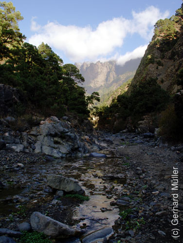 Caldera de Taburiente_46