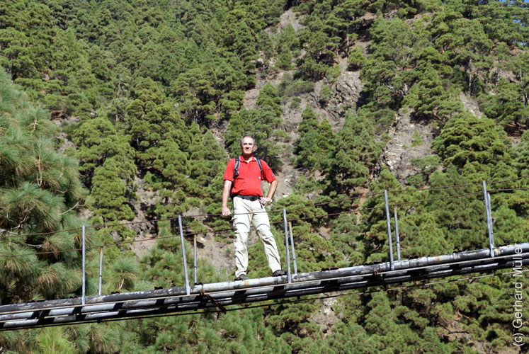 Caldera de Taburiente_48