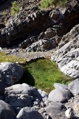 Caldera de Taburiente_49