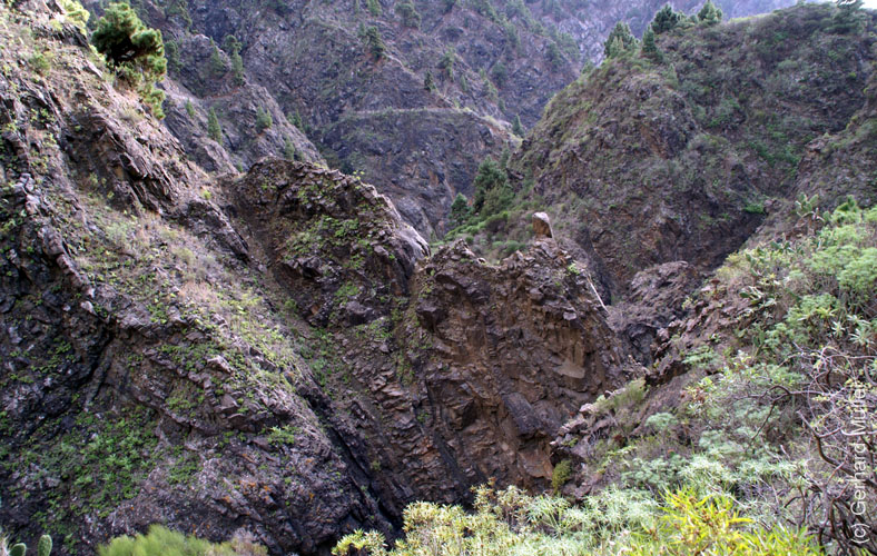 Caldera de Taburiente_53