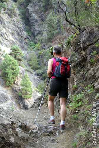 Caldera de Taburiente_56